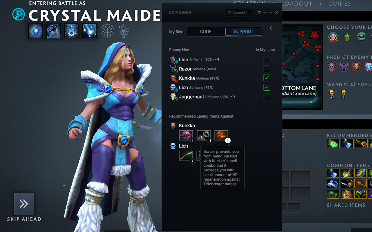 Dota Coach screenshot 5