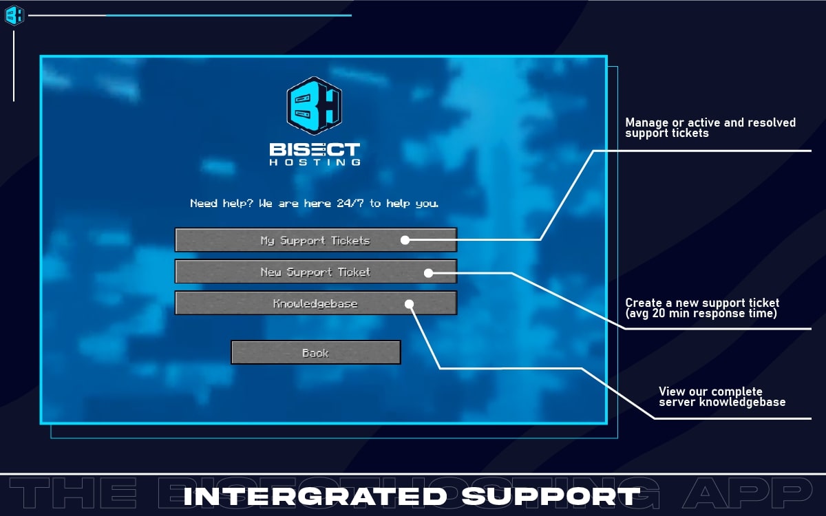BisectHosting screenshot 4