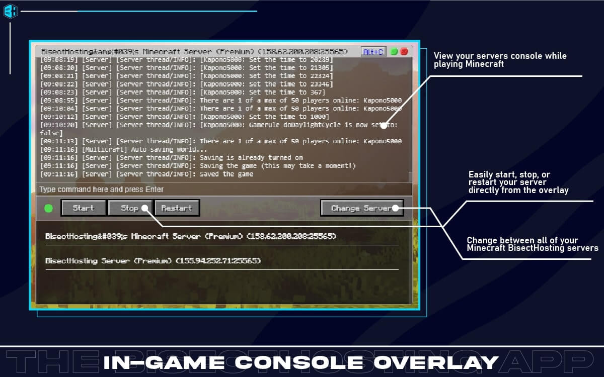 BisectHosting screenshot 2