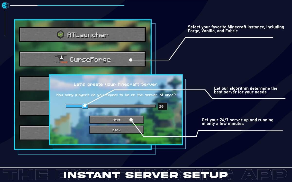 BisectHosting screenshot 1